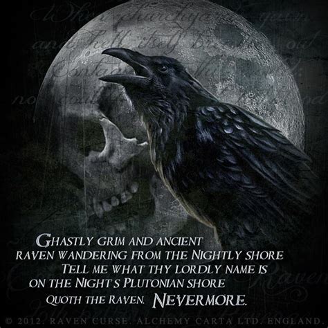 nevermore menaing|quote the raven nevermore.